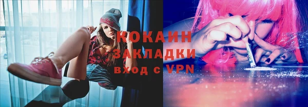 тгк Лиски