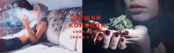 тгк Лиски