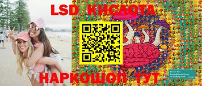 эйфоретик Берёзовский