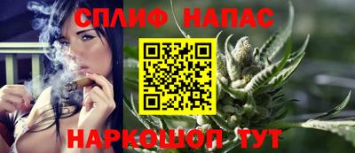 прущие грибы Абакан