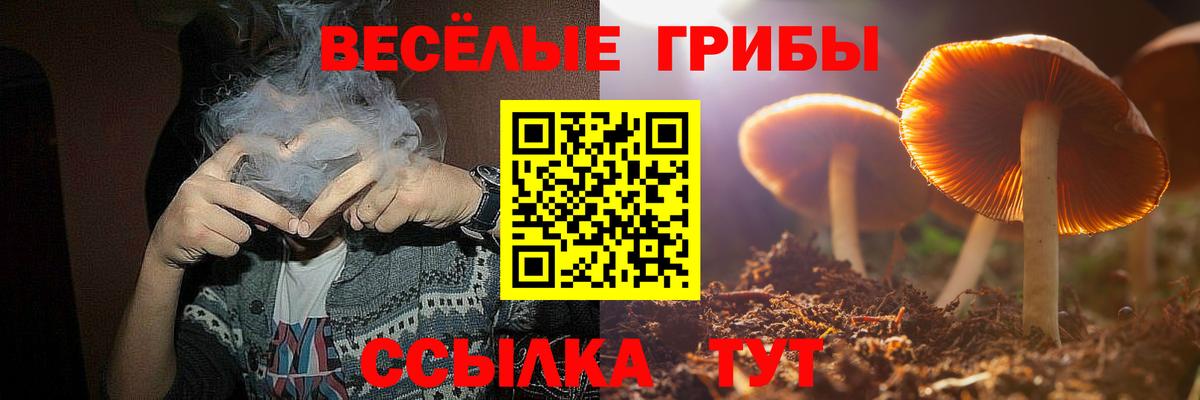 Галлюциногенные грибы Psilocybe Гагарин