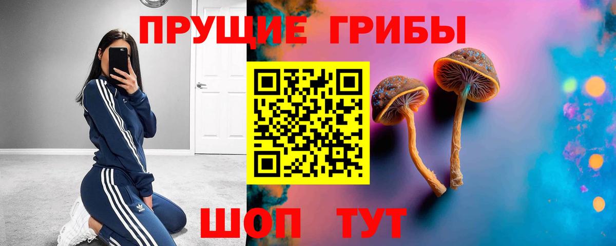 Галлюциногенные грибы Psilocybine cubensis Гагарин