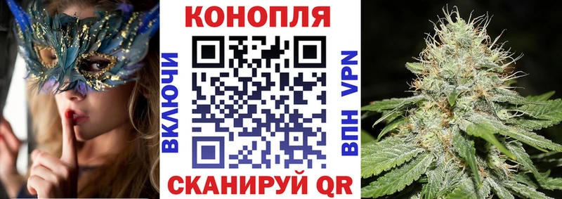 Марихуана марихуана  Гагарин 