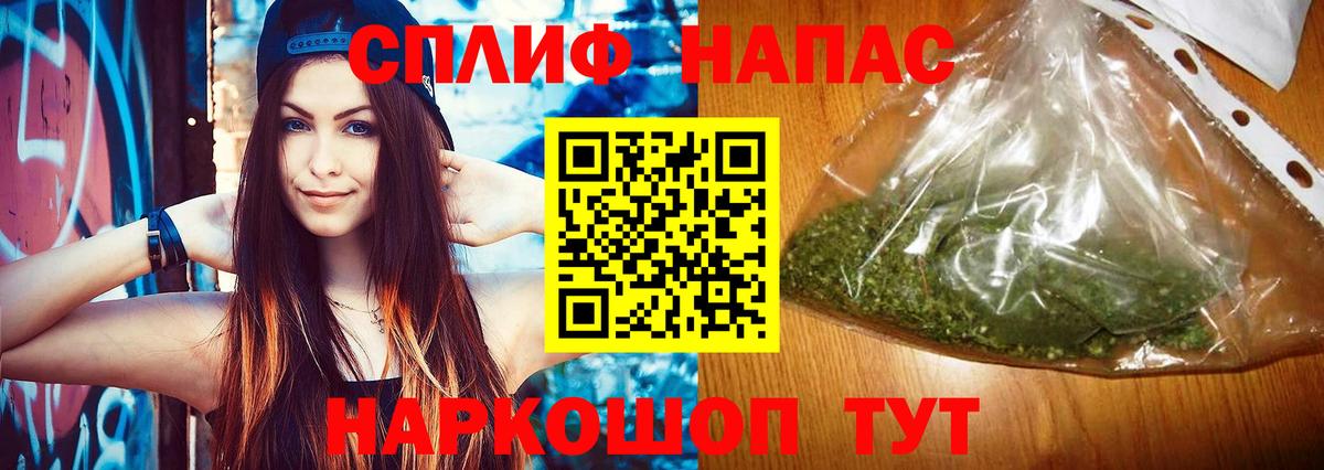 Бошки Шишки AK-47  Каннабис сатива  Бошки Шишки OG Kush  Гагарин  Бошки Шишки AK-47 